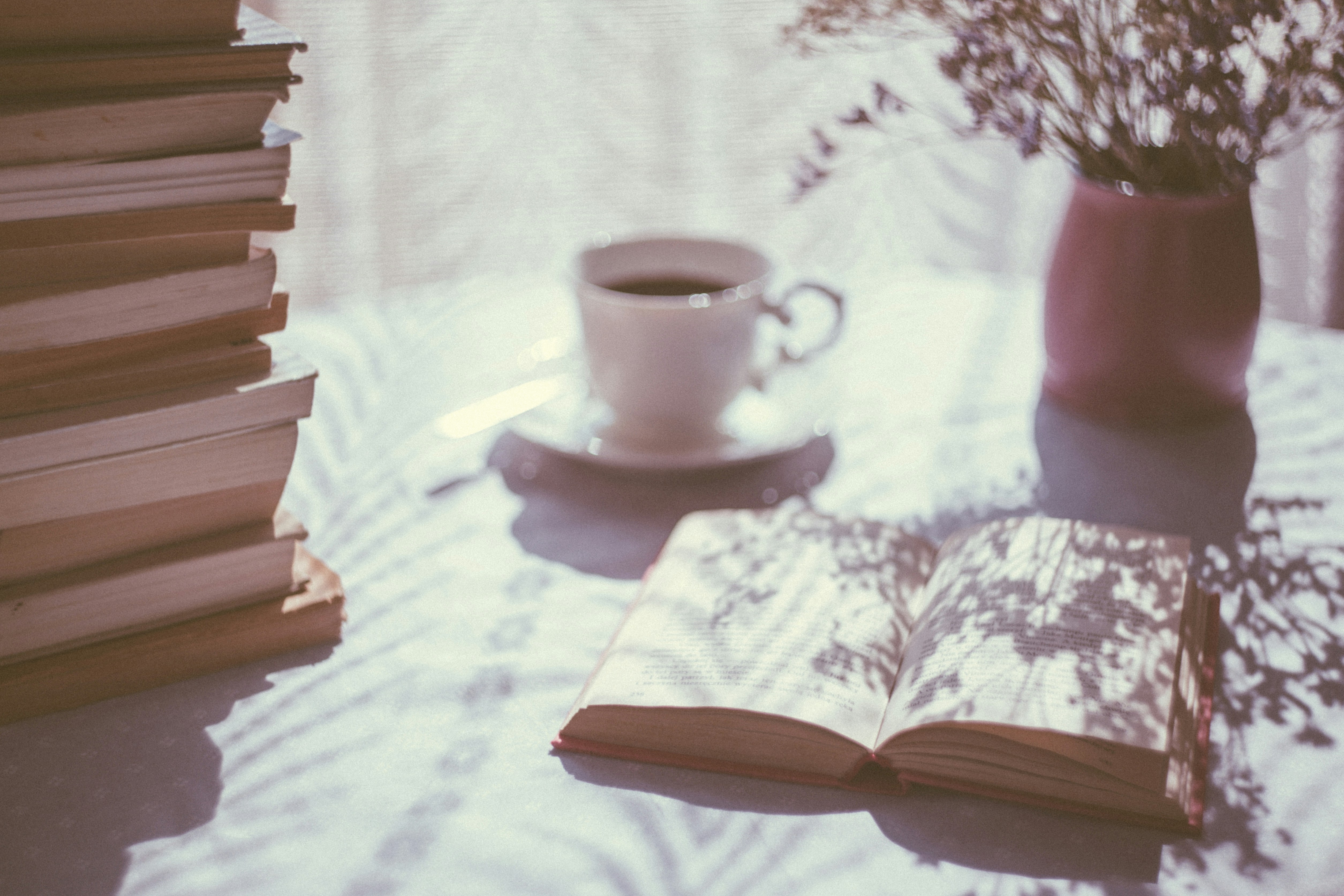 Picture of an open book in a cozy environment